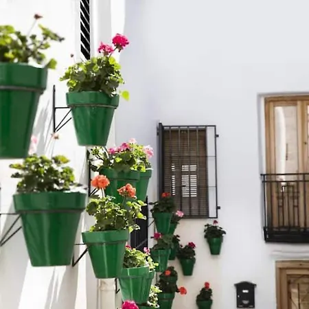 Apartamento En El Corazon De Las Alpujarras Carataunas Exterior photo