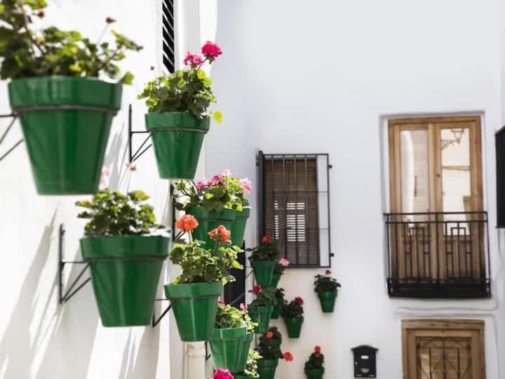 Apartment En El Corazon De Alpujarras